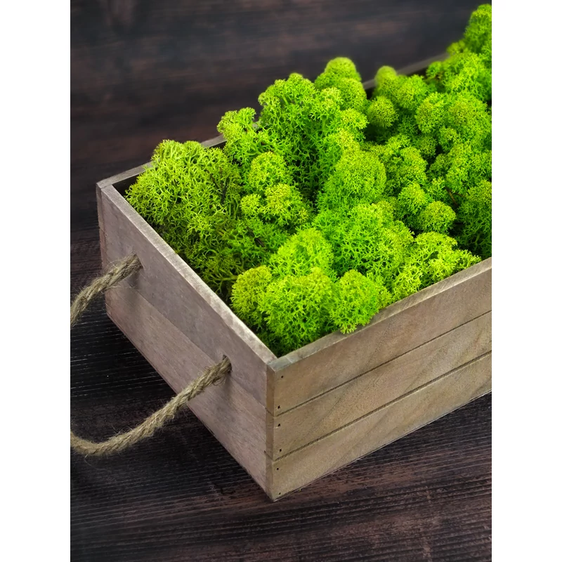 Izlandi zuzmó, moha almazöld 500gr