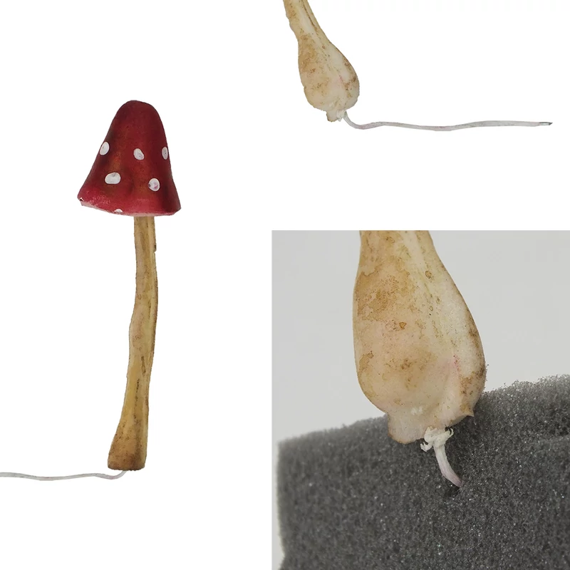 Hab gomba piros fehér pöttyös dekoráció nagy 1db