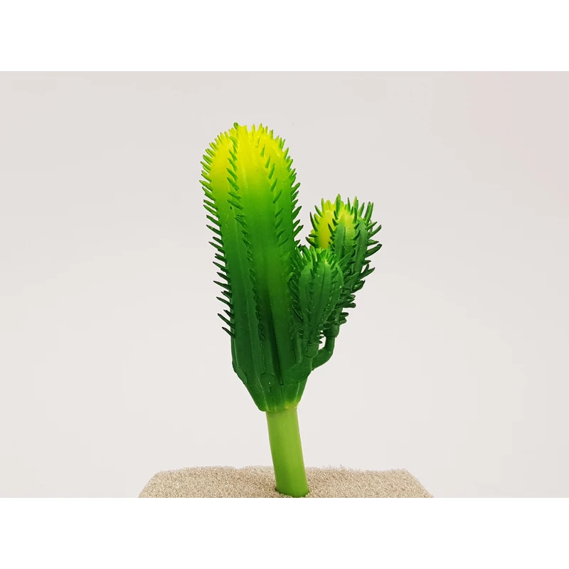 Kaktusz 12cm 6db OKOSÁR!