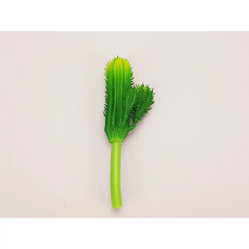 Kaktusz 12cm 6db OKOSÁR!