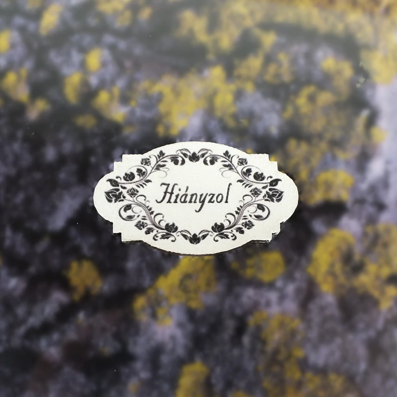 Nyomtatott dekorkarton - hiányzol 5db/cs