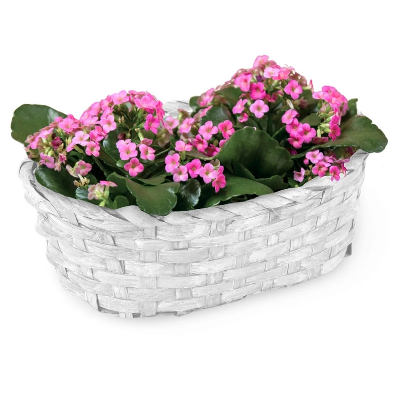 Bambusz ovál fonott tál fehér 25cm