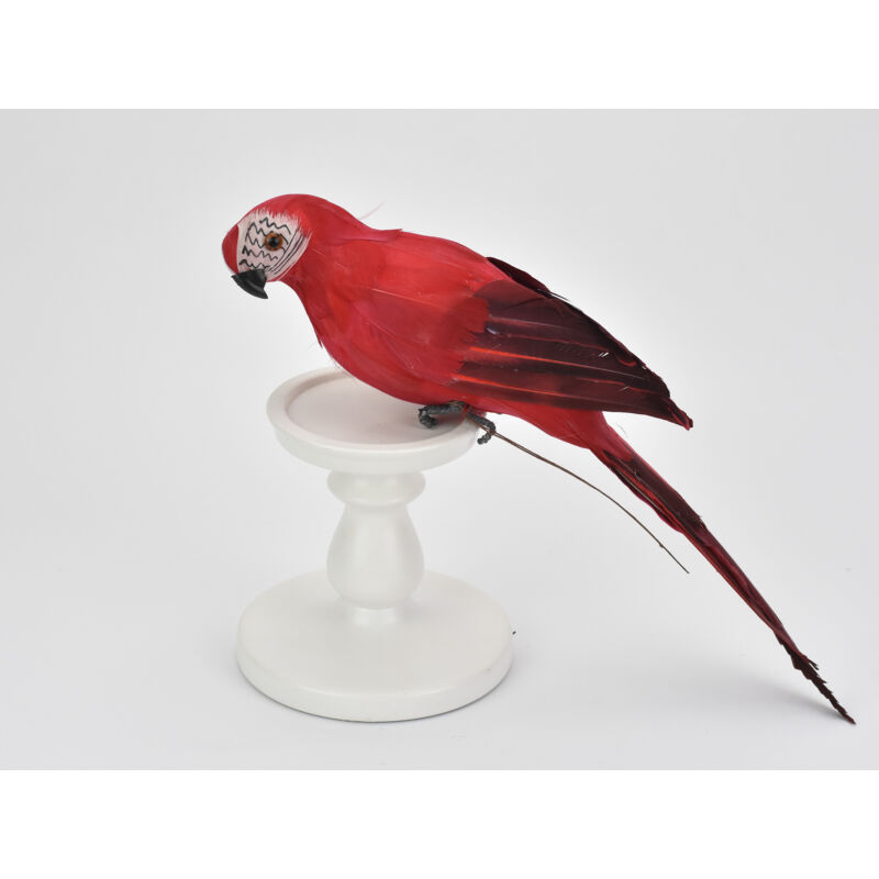 Papagáj piros 36cm