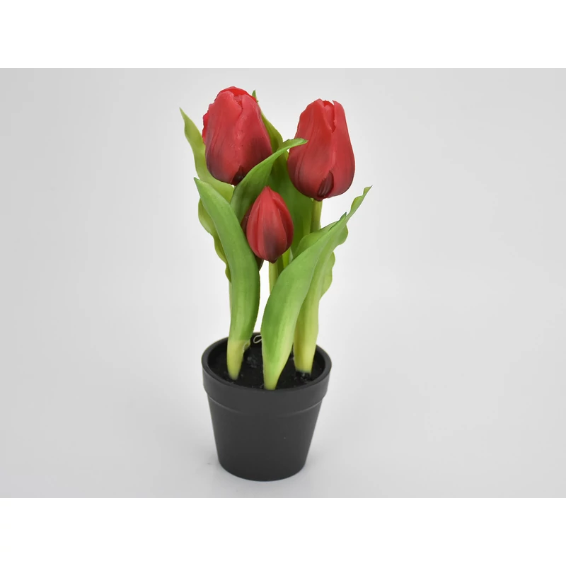 Tulipán cserepes piros