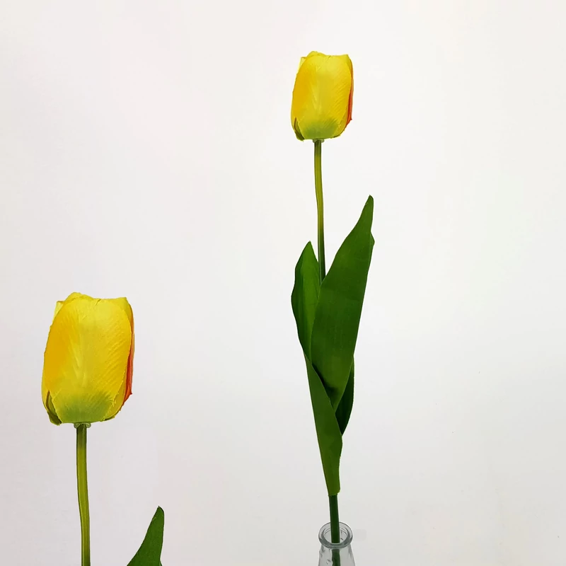 Szálas tulipán sárga