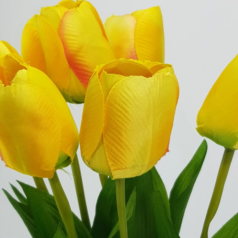 Szálas tulipán sárga