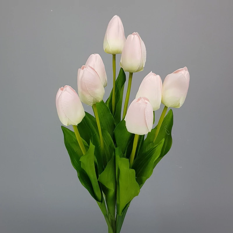 Szálas tulipán halvány rózsaszín