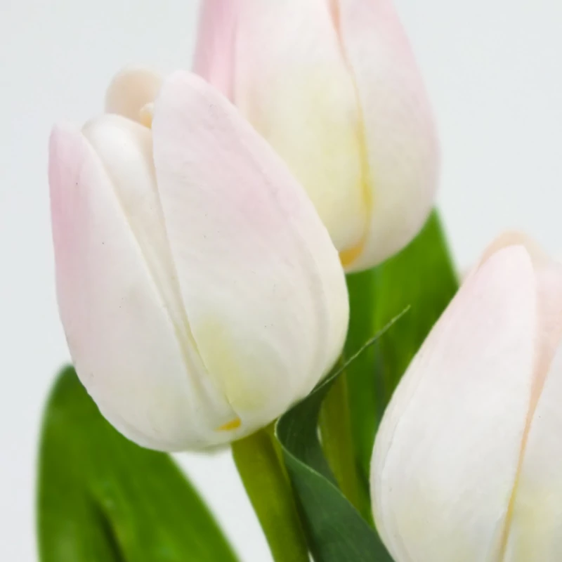 5 ágú tulipán csokor halvány rózsaszín