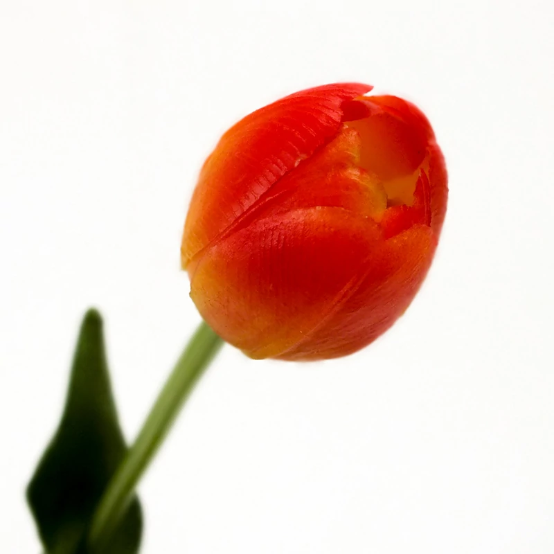 Szálas gumi tulipán cirmos narancs