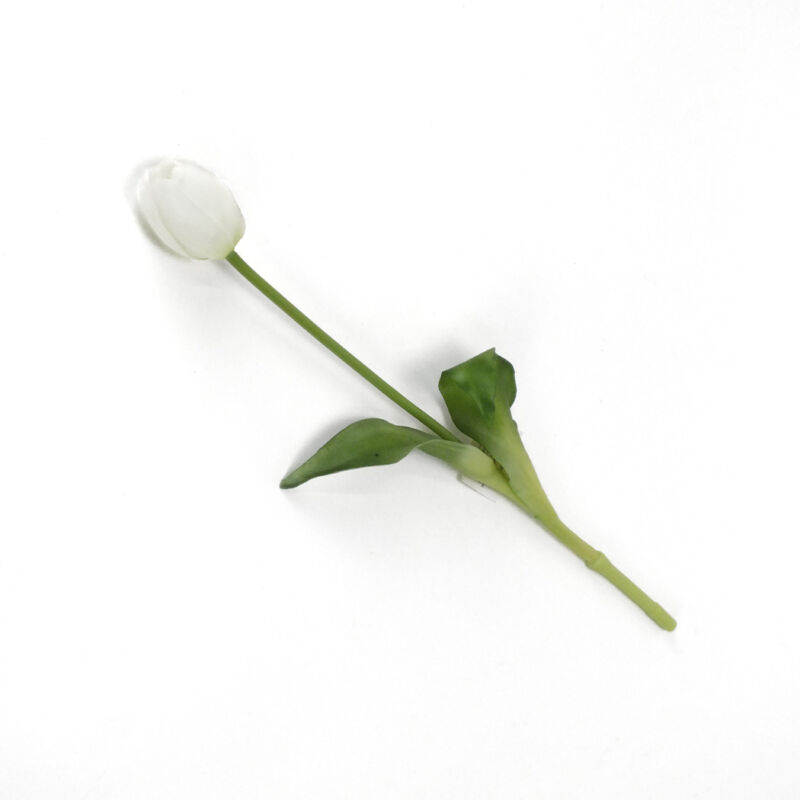 Szálas gumi tulipán fehér