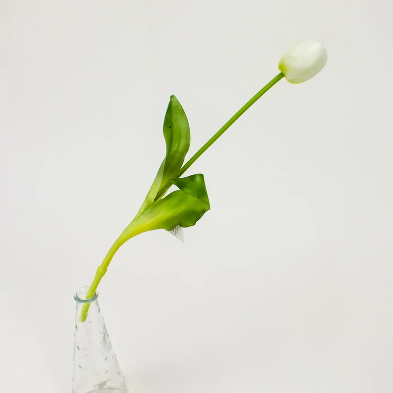 Szálas gumi tulipán fehér