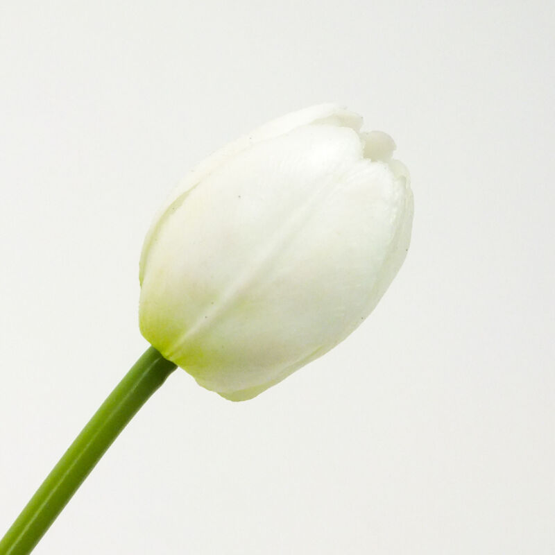 Szálas gumi tulipán fehér