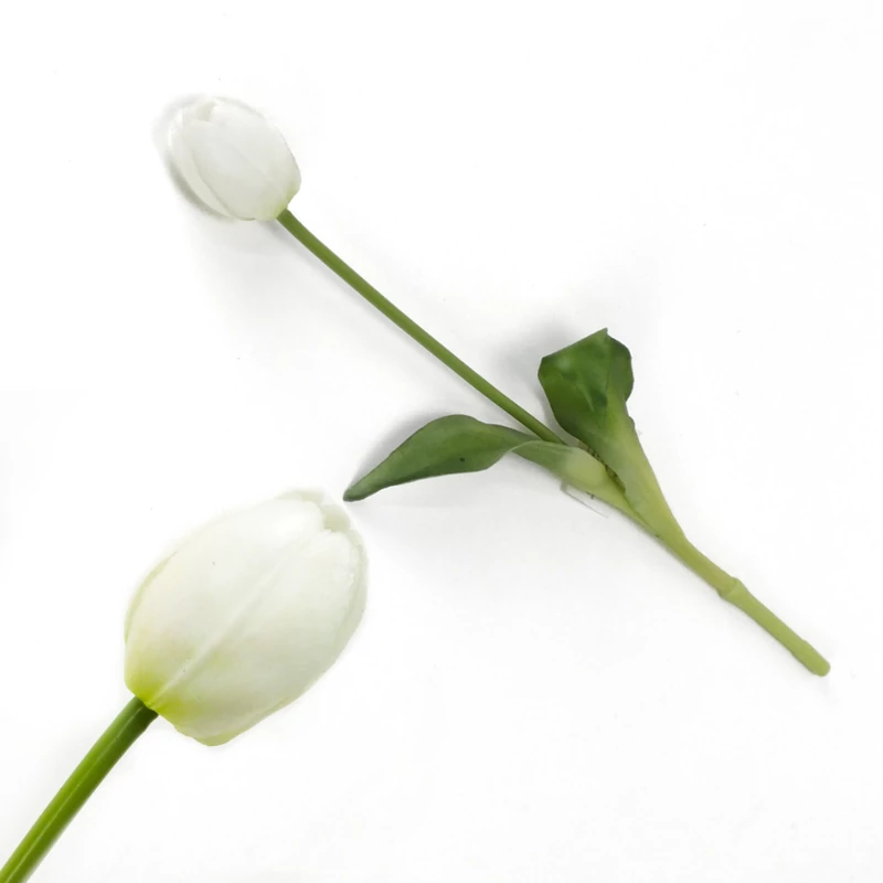 Szálas gumi tulipán fehér