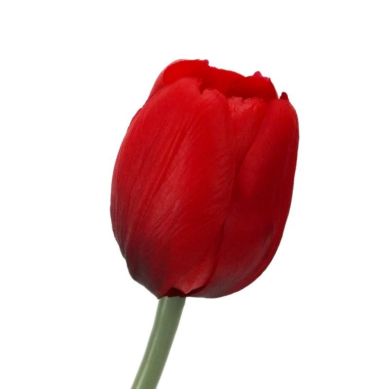 Szálas gumi tulipán piros