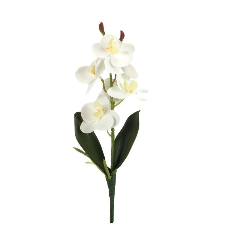 Orchidea levéllel, gyökérrel fehér-Kosárbolt.hu