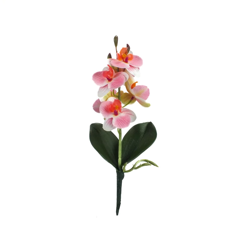 Orchidea levéllel, gyökérrel foltos rózsaszín-fehér-Kosárbolt.hu