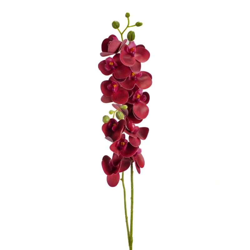 2 ágú orchidea bordó-Kosárbolt.hu