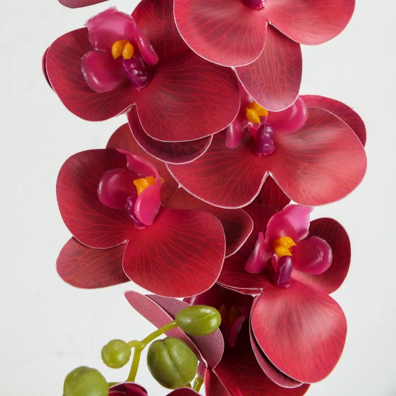 2 ágú orchidea bordó