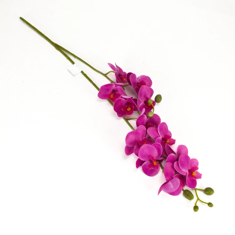 2 ágú orchidea ciklámen