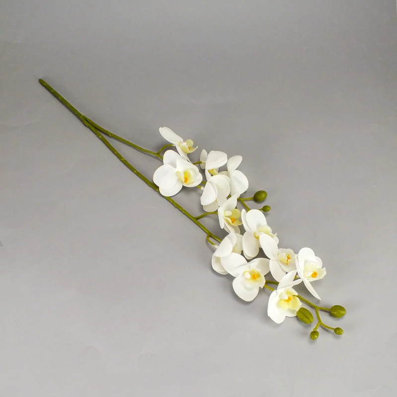2 ágú orchidea fehér