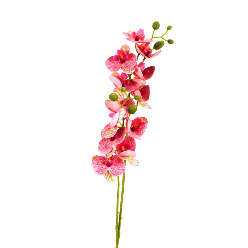 2 ágú orchidea rózsaszín-sárga-Kosárbolt.hu