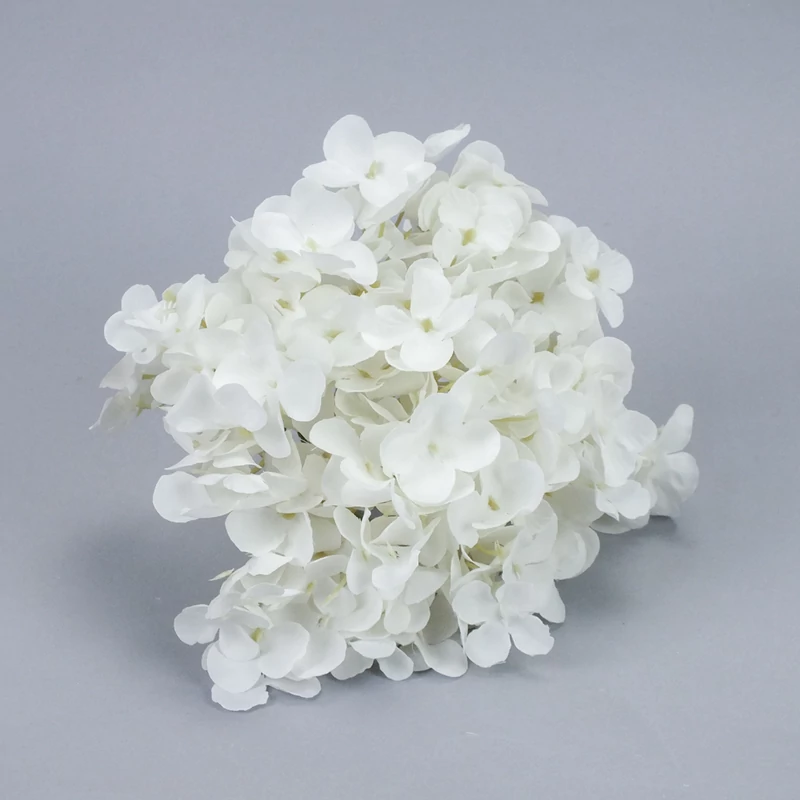 Hortenzia fej fehér