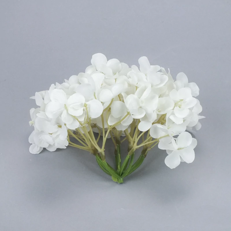 Hortenzia fej vanília álom