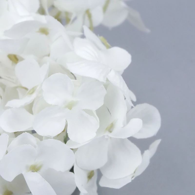 Hortenzia fej fehér