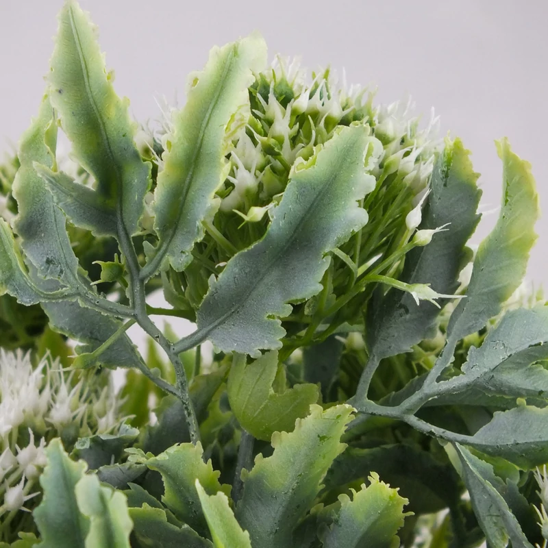 Sedum csokor fehér 2db/csomag