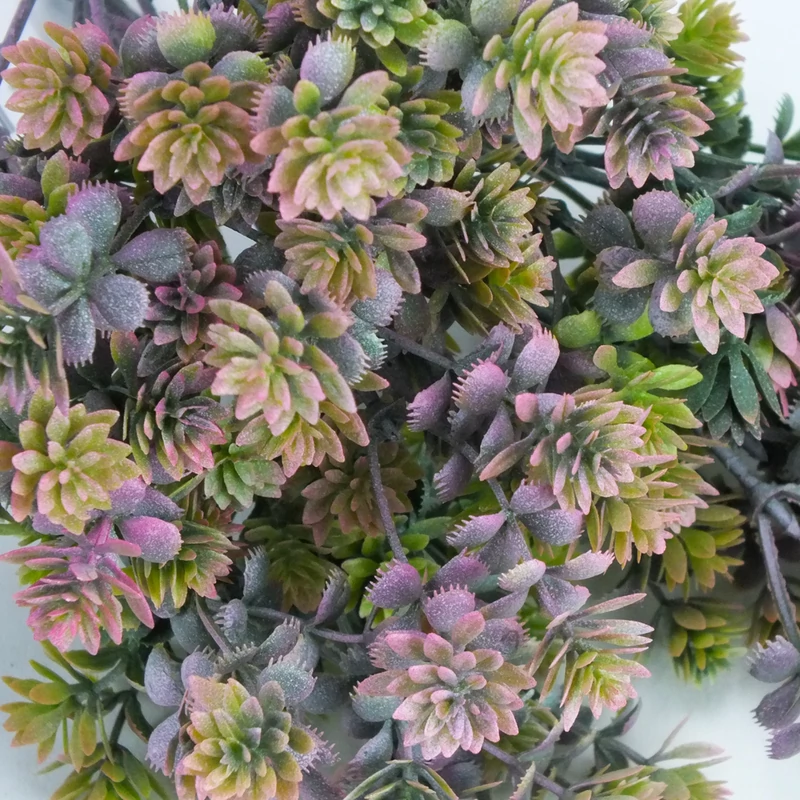 Mini pozsgás csokor hamvas pink