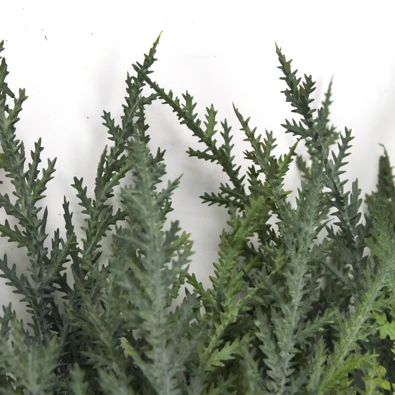 Thuja csokor sötétzöld 2db/csomag