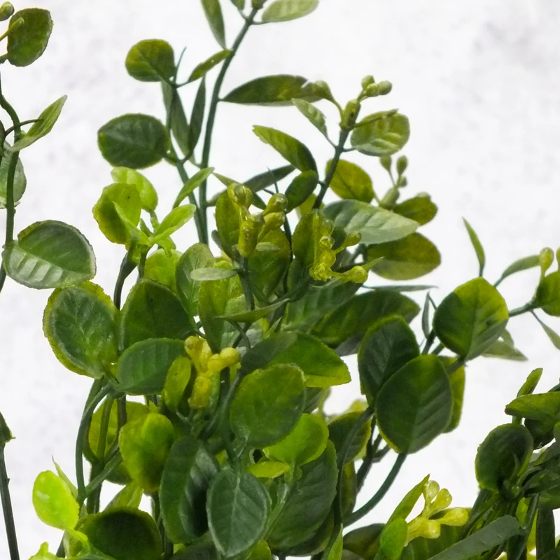 Bogyós buxus csokor zöld