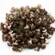 Gomba pick barna 2,5*2cm 500db/csomag