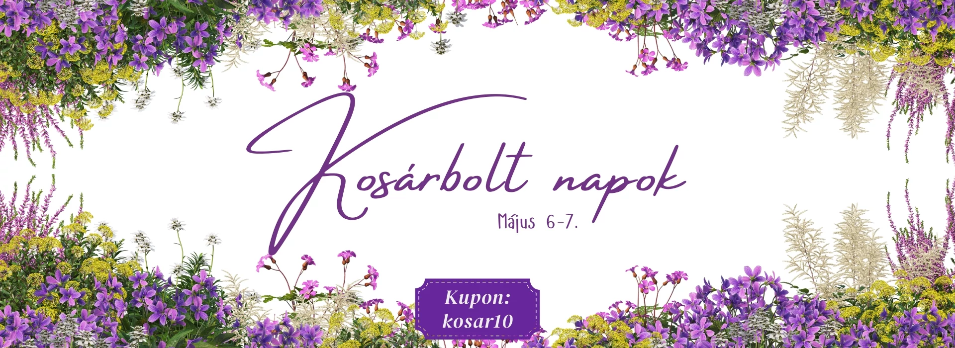 KOSÁRKEDD